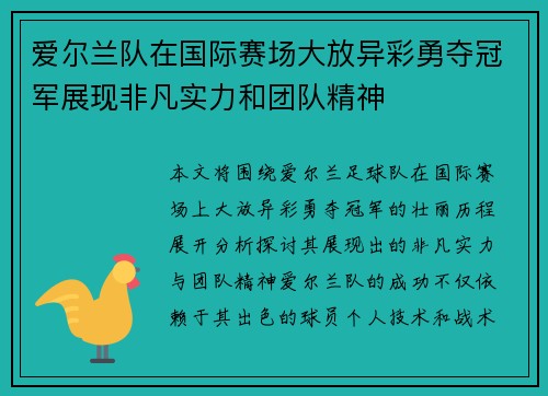 爱尔兰队在国际赛场大放异彩勇夺冠军展现非凡实力和团队精神