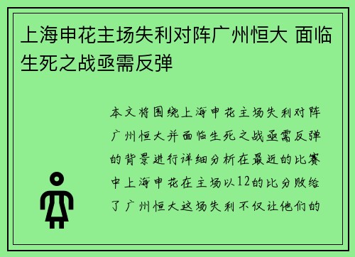 上海申花主场失利对阵广州恒大 面临生死之战亟需反弹